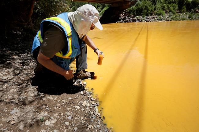 EPA: Fish damage from mine spill wasn't severe, long-lasting | iNFOnews.ca