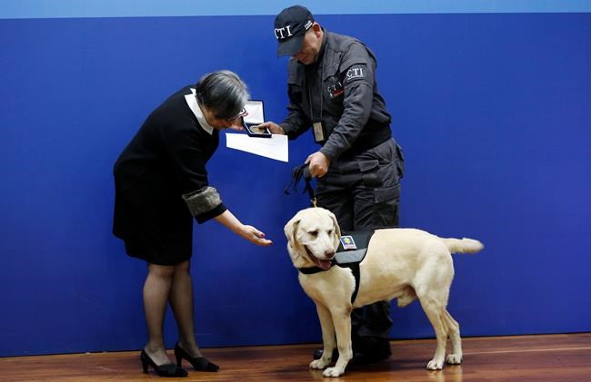 Colombia honours 14 sniffer dogs at emotional retirement | iNFOnews.ca CP356771333