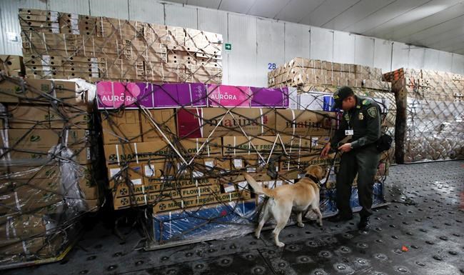 Colombia keeps cocaine from spoiling Valentine's Day flowers | iNFOnews.ca