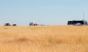CP1812562421