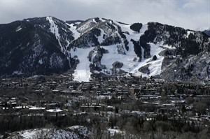 CP31445893