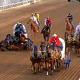 Chuckwagon horse died of ruptured aortic aneurysm, autopsy shows | iNFOnews.ca CP19412334