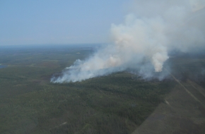 CP19467963