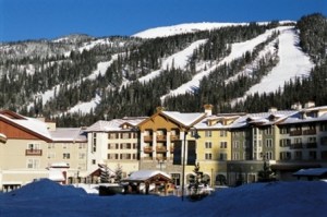 CP19731572
