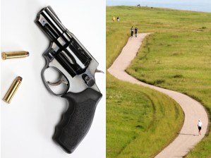 CP19733518