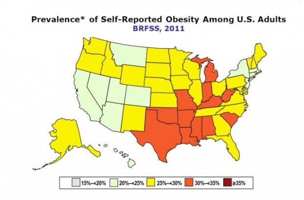 Highest obesity rates in Southern, Midwestern states; Colorado has fewest obese, survey shows | iNFOnews.ca CP19776161