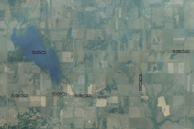 CP19778353