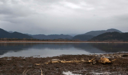 Cold case cops arrest man for manslaughter in B.C. killing going back to 2000 | iNFOnews.ca CP19809723