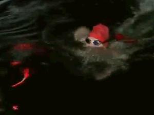 Teen swims across Lake Ontario, believed to be the youngest to do so | iNFOnews.ca CP19837091