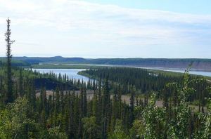 CP20038093