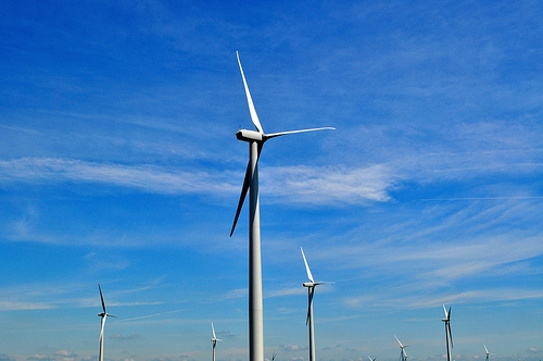 Preliminary results suggest Western Wind Energy management nominees have won | iNFOnews.ca CP20235004