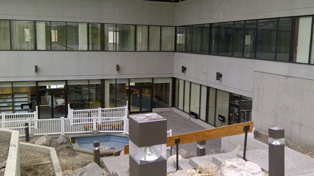 CP20237781