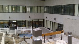 CP20237781