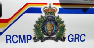 CP20529604