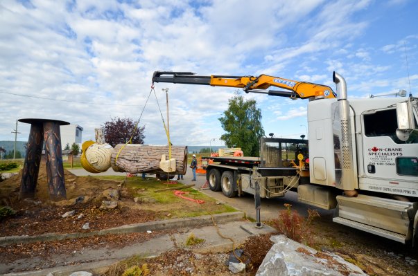 CP20562117
