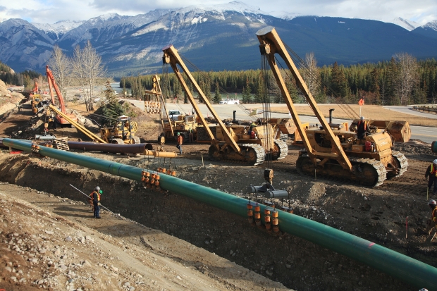 CP20705600