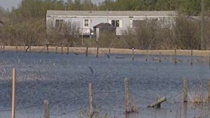 CP20956990