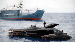 CP21075413