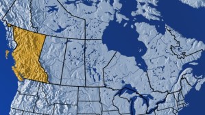 CP21149733