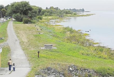 Lower Mainland dikes need major upgrades to fend off rising sea: B.C. report | iNFOnews.ca CP21169520