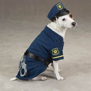 CP21263477