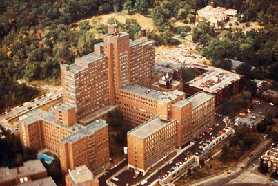 CP21266608
