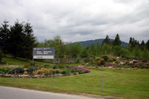 CP21420927
