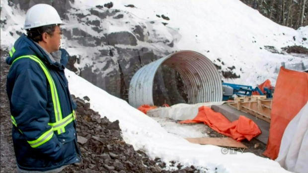 Mining firm sends 16 Chinese workers home, delays hiring more workers in B.C. | iNFOnews.ca CP21785891