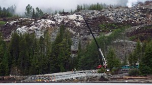 CP21893618