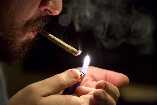 Halifax council asked to look into pesky pot smell from licensed grower | iNFOnews.ca CP36392657