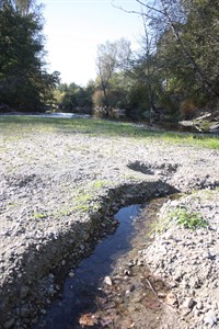 CP20364166