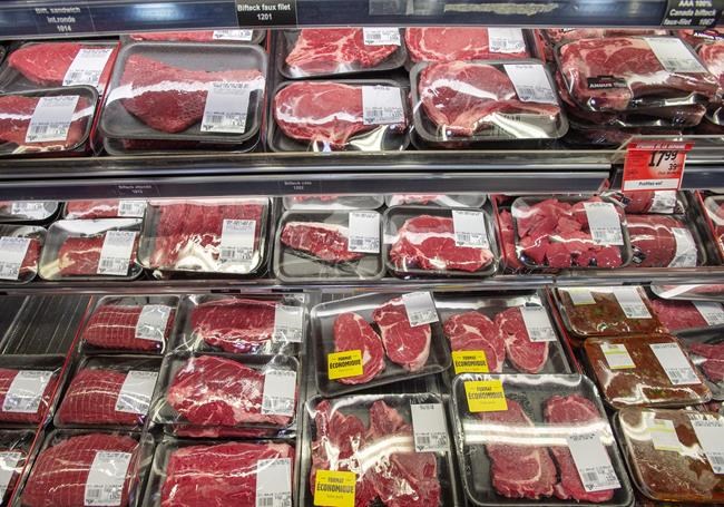 Scientist responds to critique of industry ties after publishing study on red meat | iNFOnews.ca