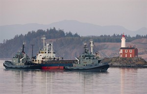 CP32785721