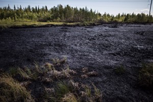 Russian oilpatch ignores rights, environment: aboriginal leader | iNFOnews.ca CP32841465
