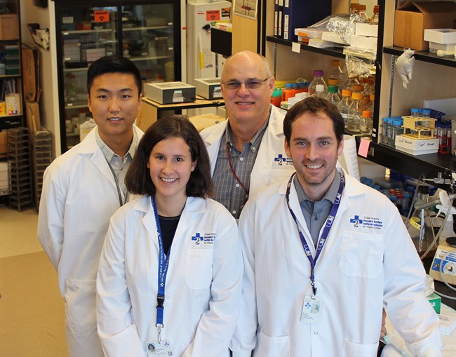 Defective stem cells behind muscular dystrophy; finding may aid treatment: study | iNFOnews.ca CP35344589