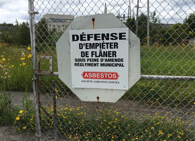 CP36091446