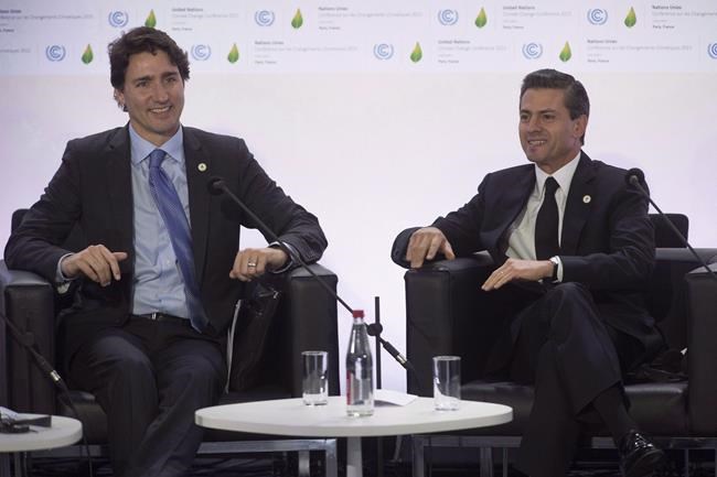 Human rights activists want Trudeau to push Mexican 'amigo' Pena Nieto | iNFOnews.ca