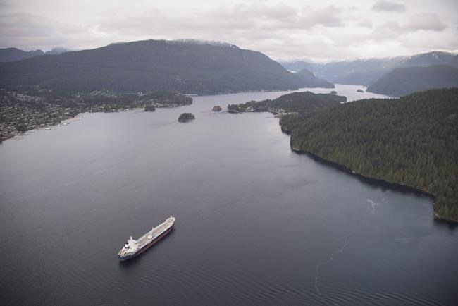 Ship noise on government's radar amid dispute over pipeline's impact on whales | iNFOnews.ca