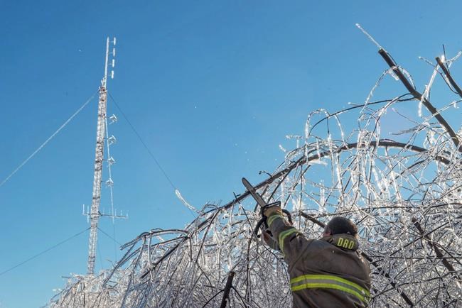 N.B. needs tougher power grid, poles to withstand ice storms, Green leader says | iNFOnews.ca