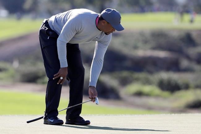 At The Turn: Tiger's torment offers a cautionary tale for ailing older golfers | iNFOnews.ca At The Turn: Tiger's torment offers a cautionary tale for ailing older golfers | iNFOnews.ca