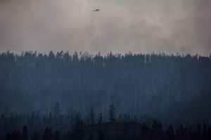 CP749239606