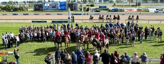 Exercise rider dies after training accident at Woodbine Racetrack | iNFOnews.ca