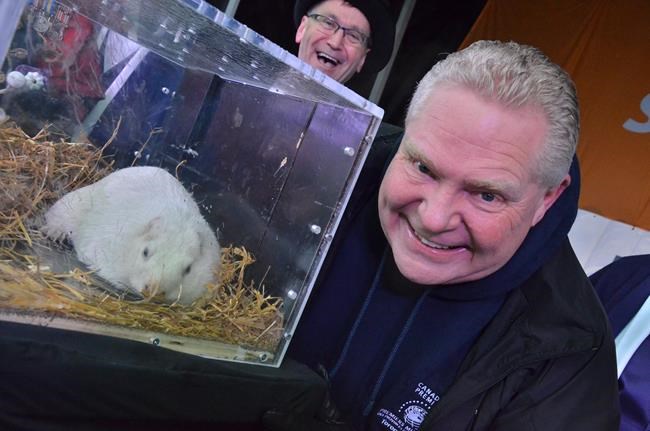 Canadian groundhogs divided on winter weather predictions | iNFOnews.ca