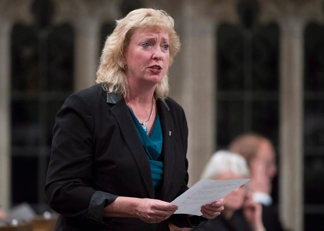 Embassy angered by Tory MP linking Mexican visitors to illegal drug trade | iNFOnews.ca