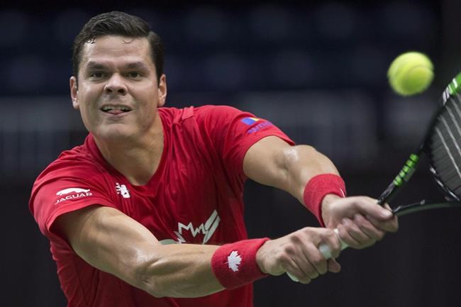 Raonic downs Kecmanovic in straight sets to advance at Brisbane International | iNFOnews.ca Raonic downs Kecmanovic in straight sets to advance at Brisbane International | iNFOnews.ca