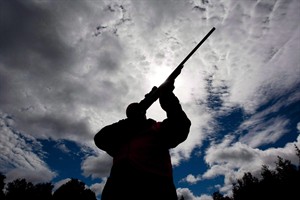 CP22515923