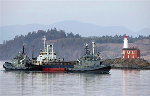 CP28034538