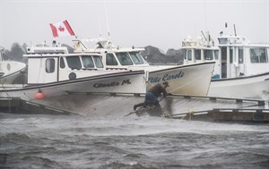 CP29025167
