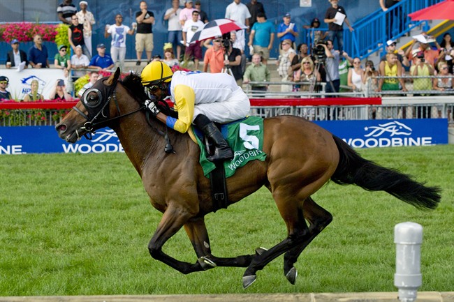 Favourite Danish Dynaformer captures $500,000 Breeders' Stakes thoroughbred race | iNFOnews.ca CP34223064
