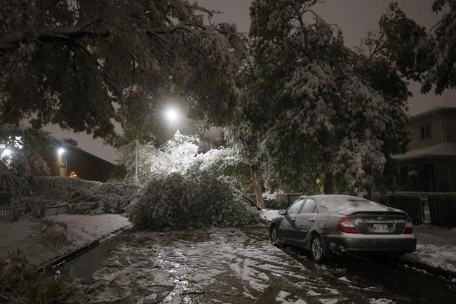 Cold, stormy winter forecast across much of Canada, The Weather Network predicts | iNFOnews.ca Cold, stormy winter forecast across much of Canada, The Weather Network predicts | iNFOnews.ca